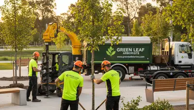 Arborist planting native tree in Tacoma WA yard for Chop Chop Tree professional tree planting service