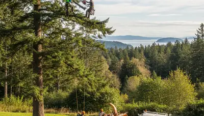 Professional tree removal service in Tacoma, WA by certified arborists at Tree Trimming Tacoma WA